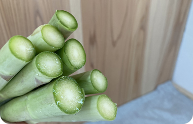 アスパラの切り口