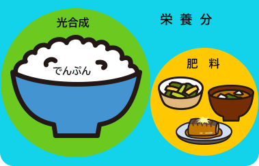 肥料のイメージ